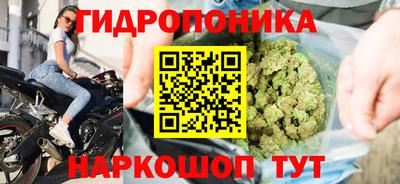 прущая мука Будённовск
